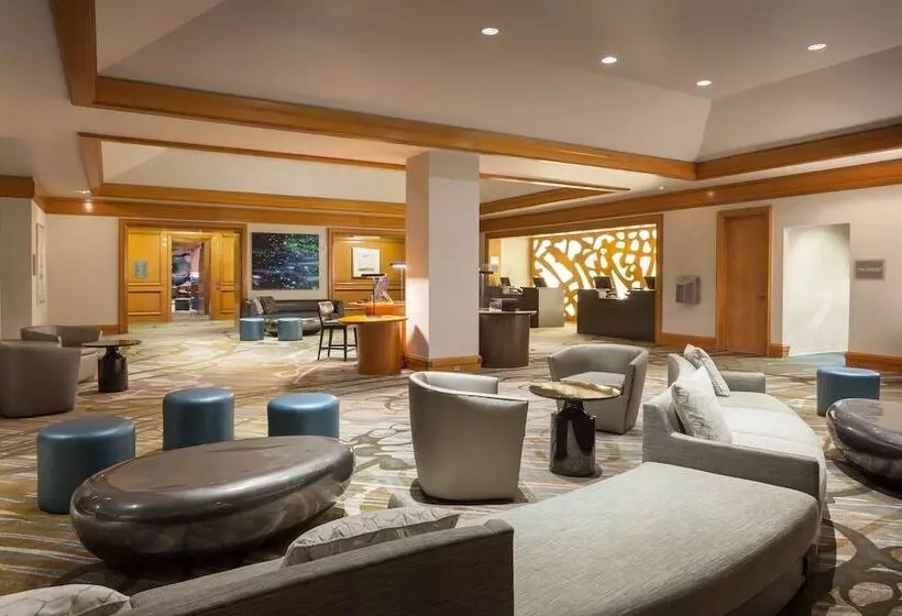 ２ダブルベッドのスタンダードルーム, The Westin Tampa Waterside