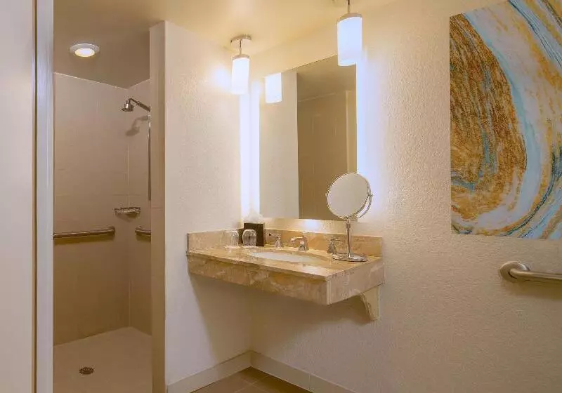 シングルデラックスルーム, The Westin Tampa Waterside
