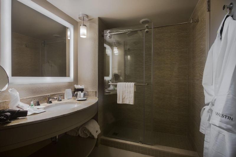 シングルデラックスルーム, The Westin Tampa Waterside