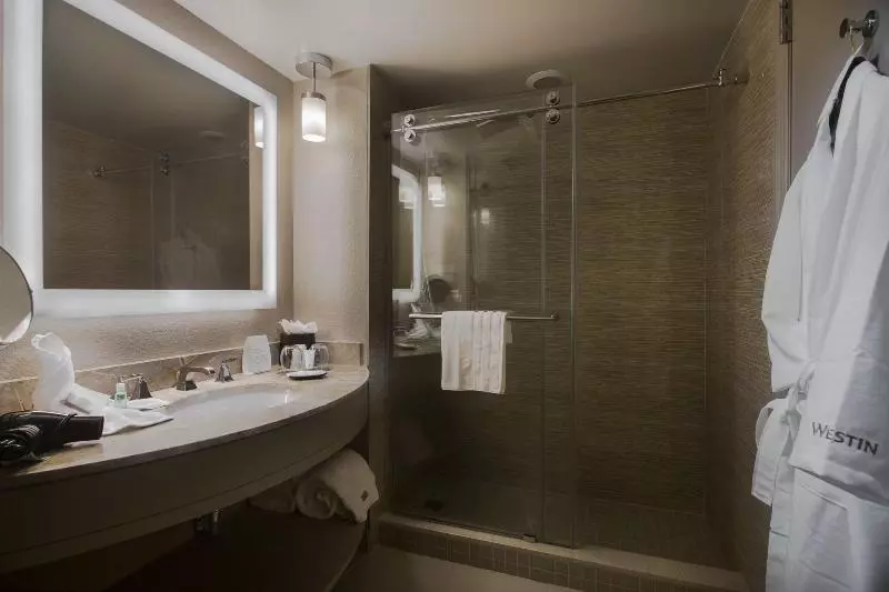 シングルデラックスルーム, The Westin Tampa Waterside