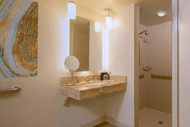 シングルデラックスルーム, The Westin Tampa Waterside
