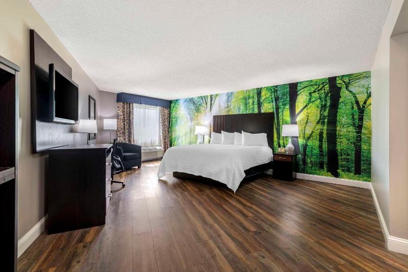 キングサイズベッドのスタンダードルーム, The Westin Tampa Waterside