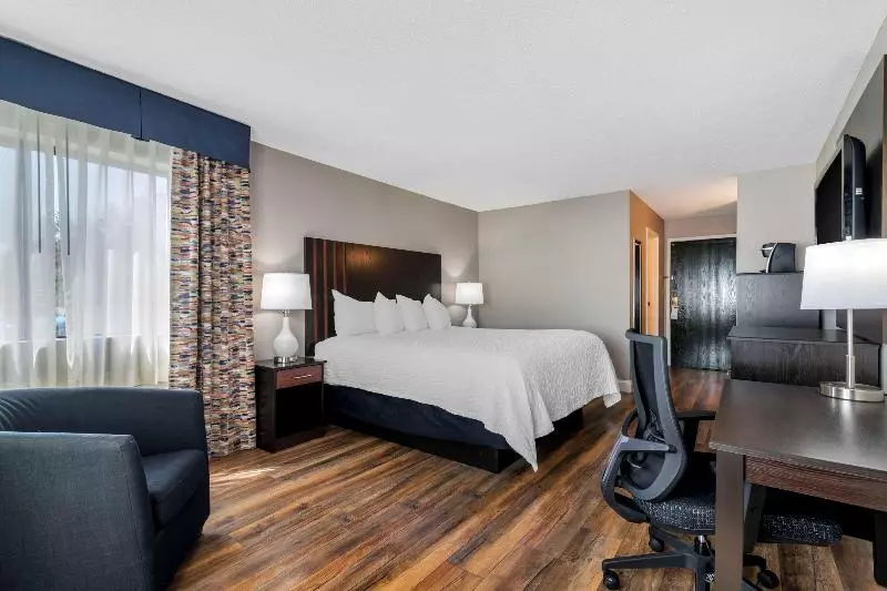 キングサイズベッドのスタンダードルーム, The Westin Tampa Waterside