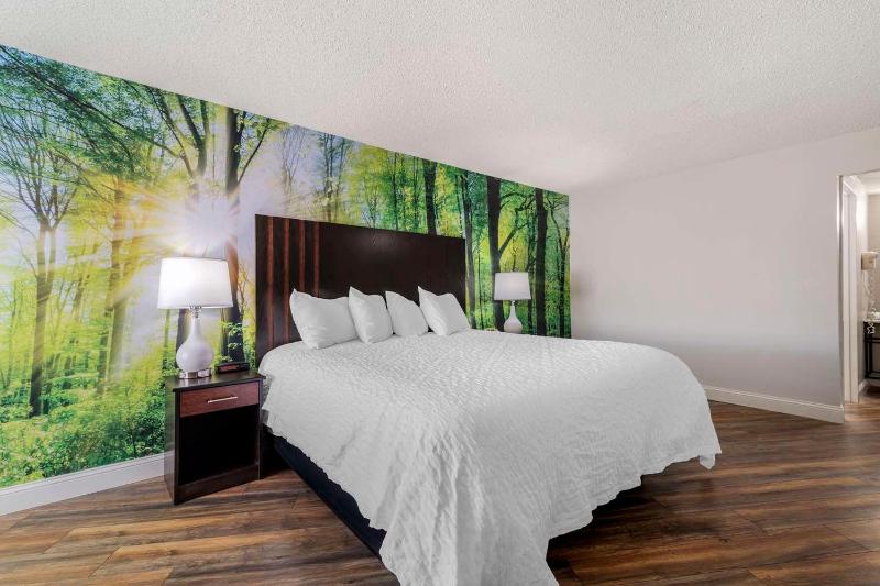 带大床的标准间, The Westin Tampa Waterside