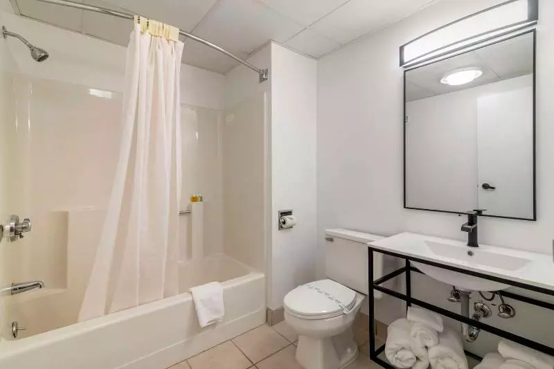 キングサイズベッドのスタンダードルーム, The Westin Tampa Waterside