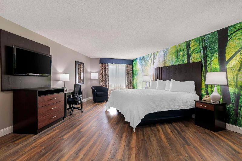 带大床的标准间, The Westin Tampa Waterside