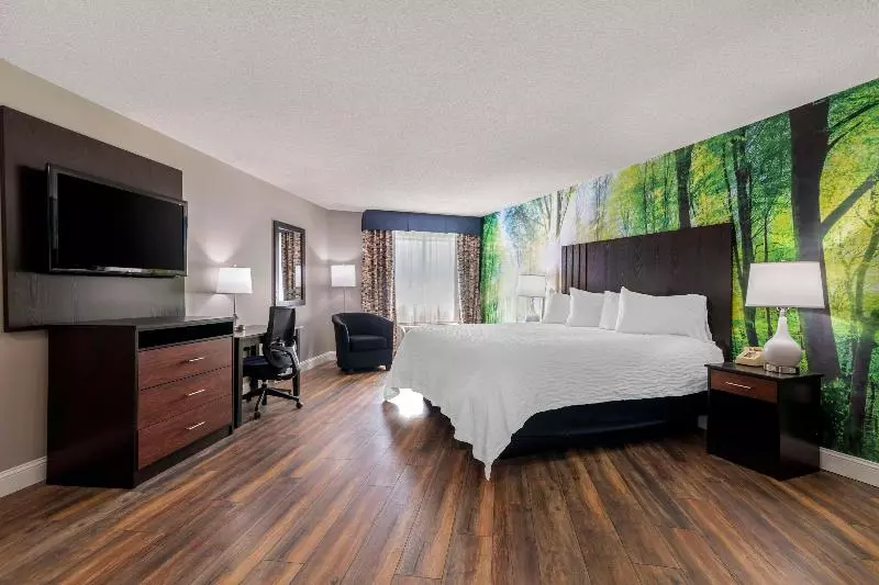 キングサイズベッドのスタンダードルーム, The Westin Tampa Waterside