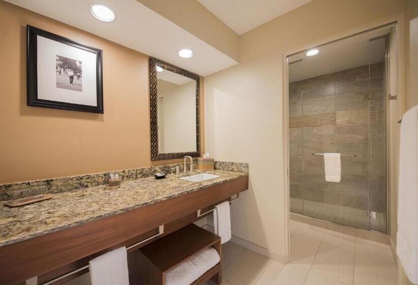 带大床的豪华间, The Wigwam