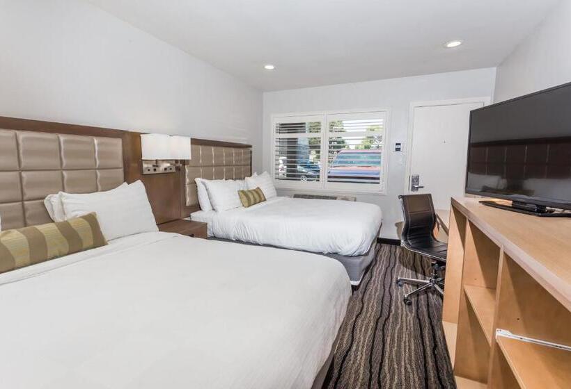 Quarto Standard Cama King, Sather Berkeley   Surestay Collection By Best Western