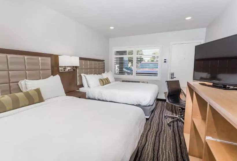 اتاق استاندارد با تخت بزرگ, Sather Berkeley   Surestay Collection By Best Western