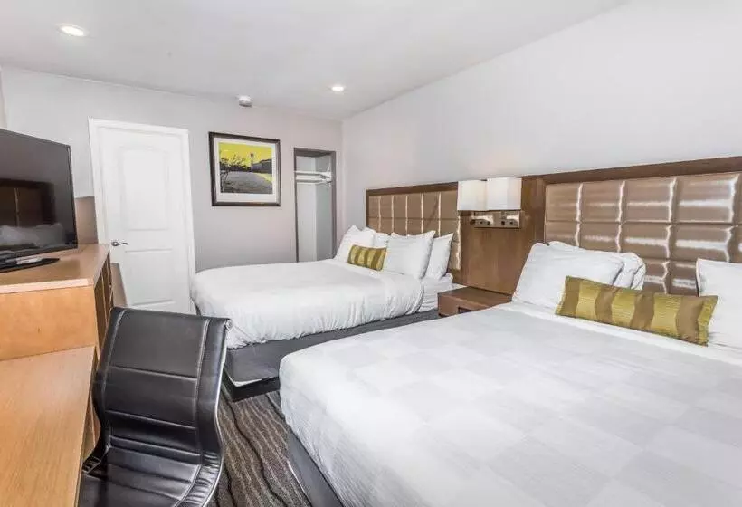 اتاق استاندارد با تخت بزرگ, Sather Berkeley   Surestay Collection By Best Western
