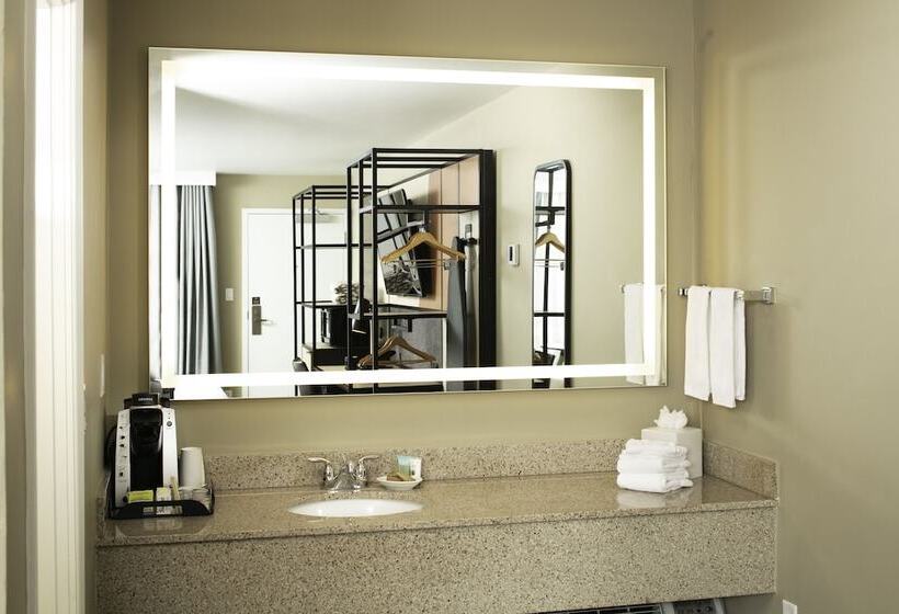 ２ダブルベッドのスタンダードルーム, Waypoint