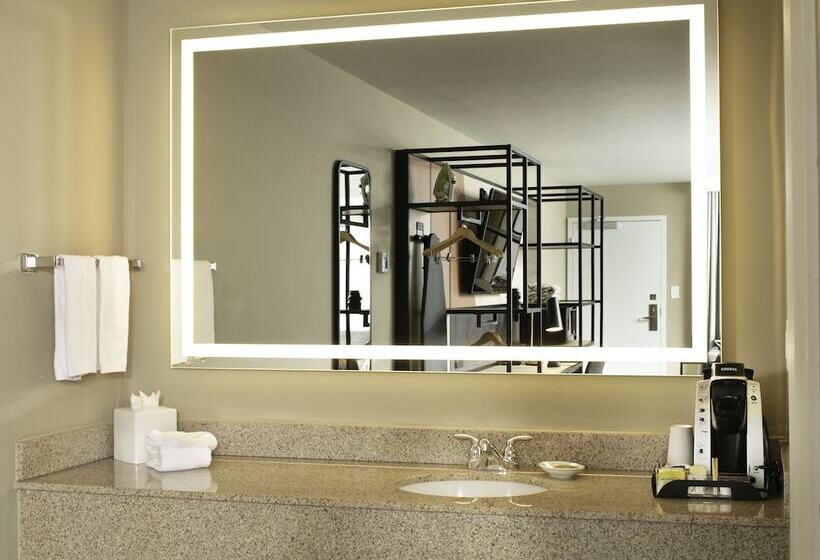 ２ダブルベッドのスタンダードルーム, Waypoint