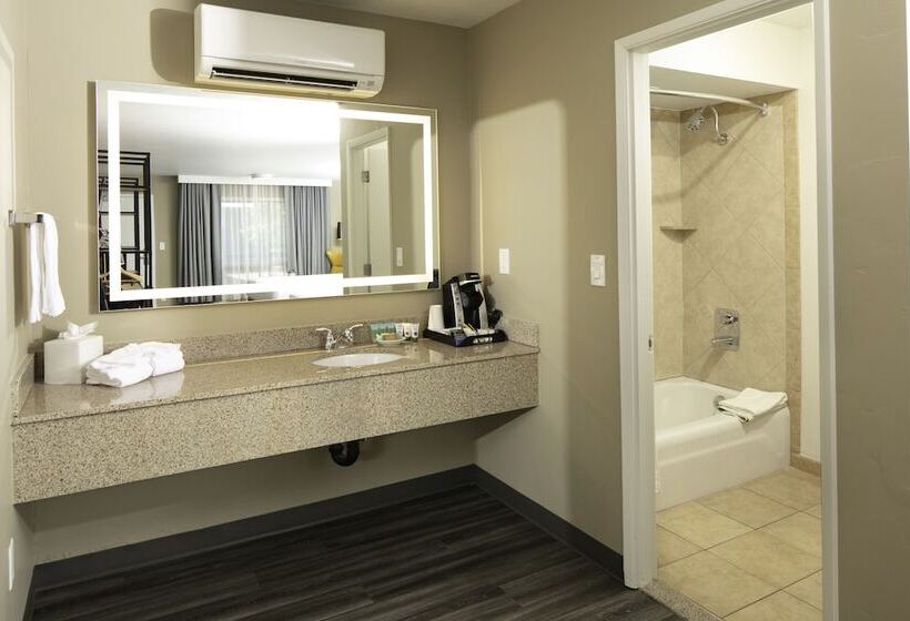 スイート（家族用）, Waypoint