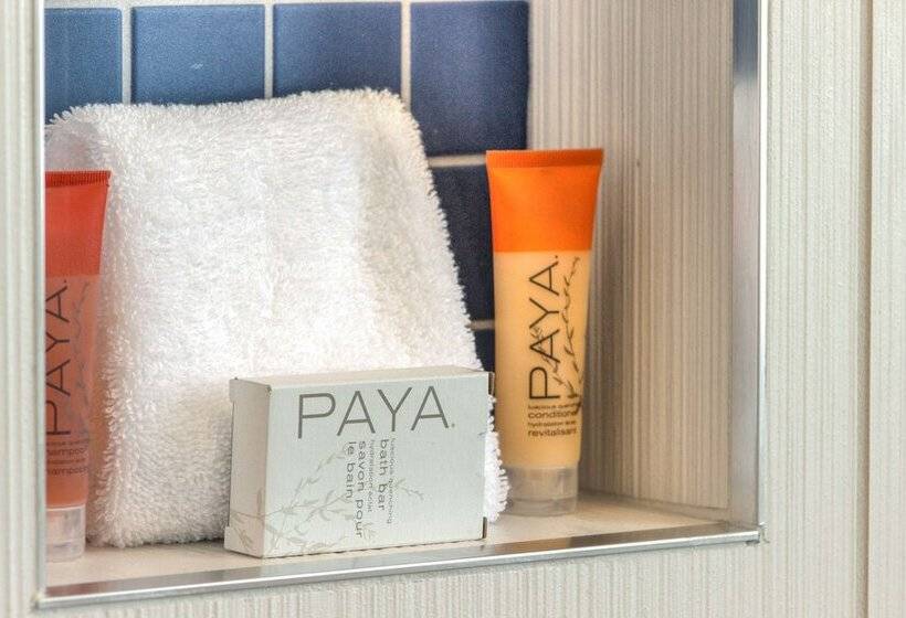 Номер Стандарт 2 Двуспальные Кровати, The Waterfront Beach Resort, A Hilton