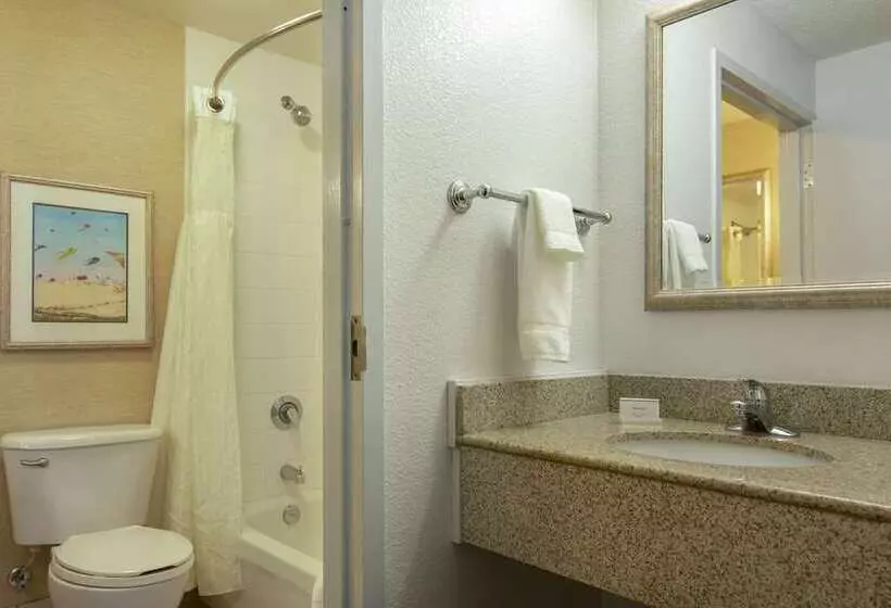 اتاق استاندارد با چشم‌انداز دریا, The Waterfront Beach Resort, A Hilton