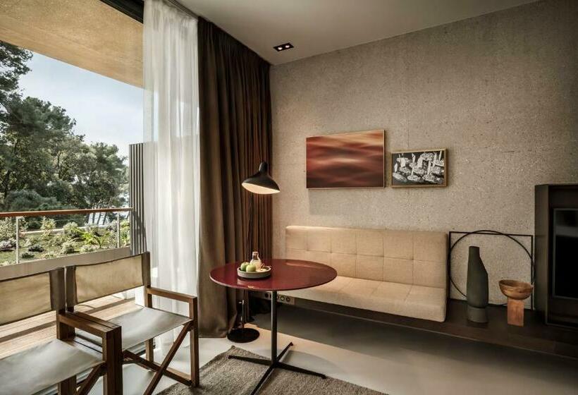 Номер Стандарт Адаптированный для Инвалидов, Grand Park Hotel Rovinj By Maistra Collection