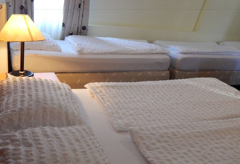 スタンダード4人部屋, Alpina