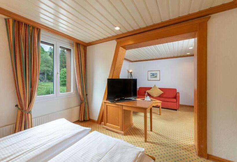 舒适型房间, Derby Swiss Quality