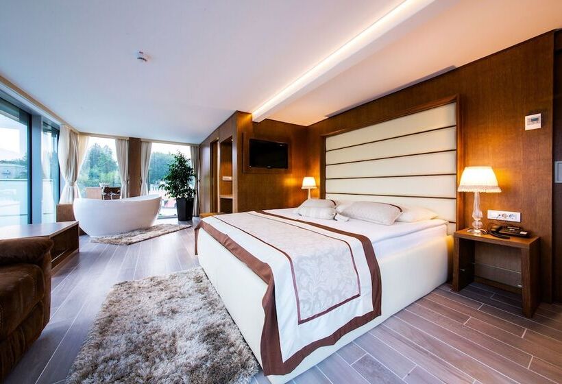 اتاق استاندارد با چشمانداز, Grand Hotel Donat Superior & Wellness Center