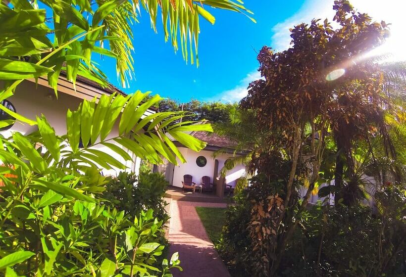 خانه 1 خوابه, Kariwak Village Holistic Haven And