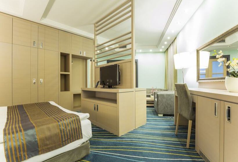 اتاق سوپریور, Kopernikus Hotel Prag