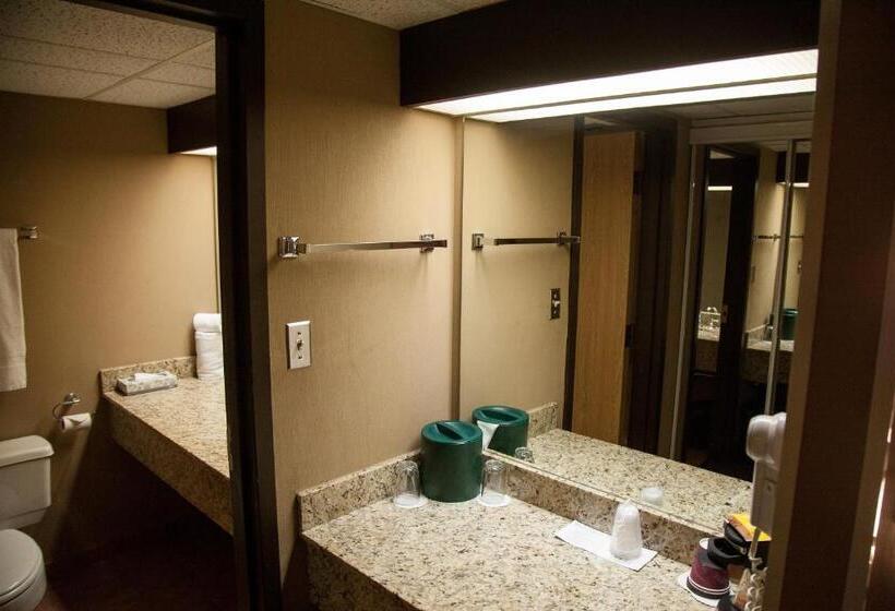 חדר סטנדרט עם מיטת קינג, Medicine Hat Lodge, Trademark Collection By Wyndham