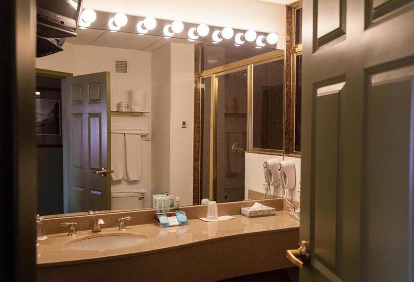 جناح سوبيريور, Medicine Hat Lodge, Trademark Collection By Wyndham