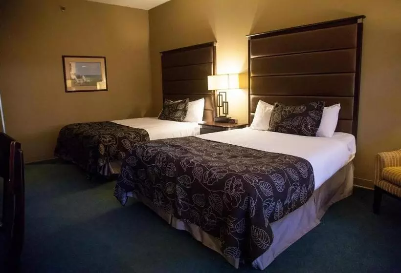 اتاق استاندارد برای معلولان, Medicine Hat Lodge, Trademark Collection By Wyndham
