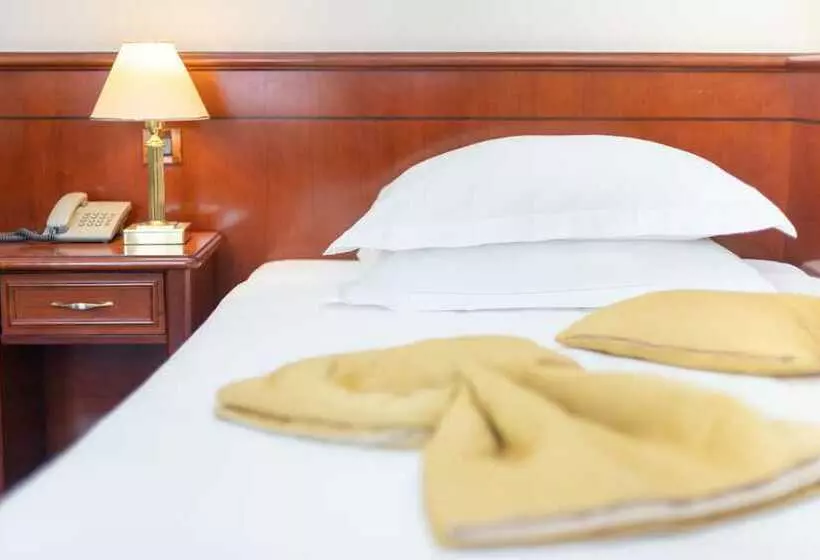 Comfort Yhden Hengen Huone, Palace