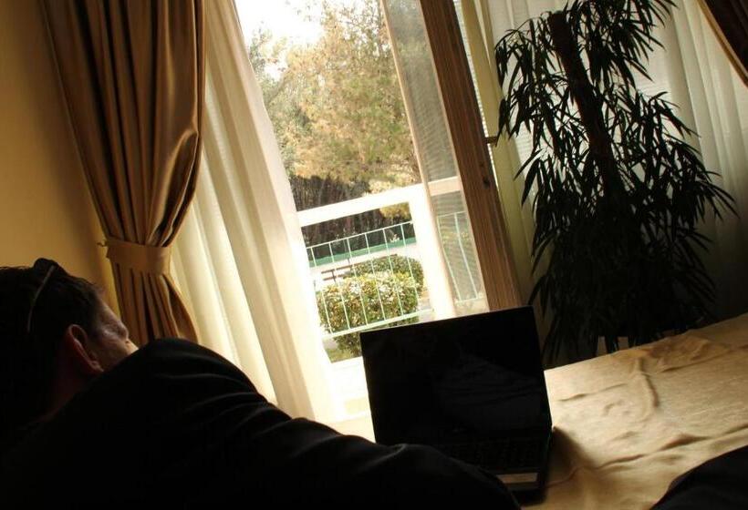 公園の見えるスタンダードルーム, Pula