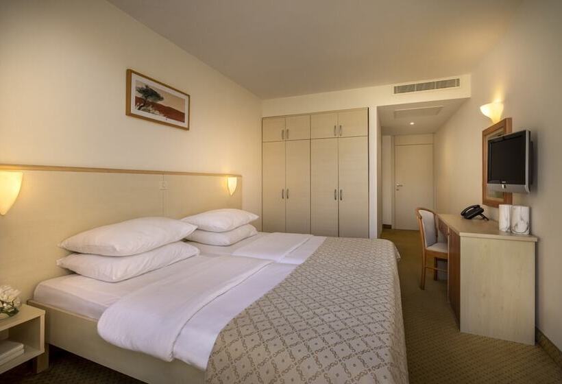 可看到停车场的高级间, Rubin