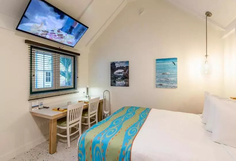استودیوی استاندارد, Amsterdam Manor Beach Resort
