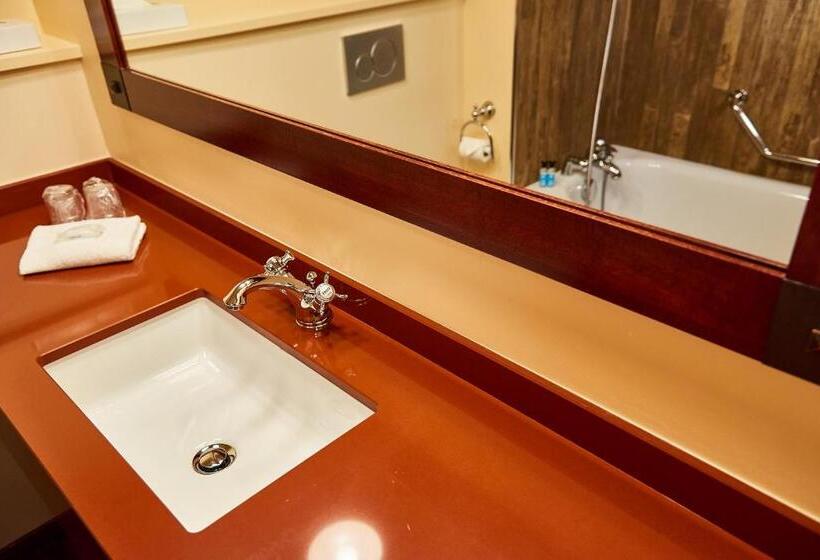 스탠다드 룸, Disney Hotel Cheyenne