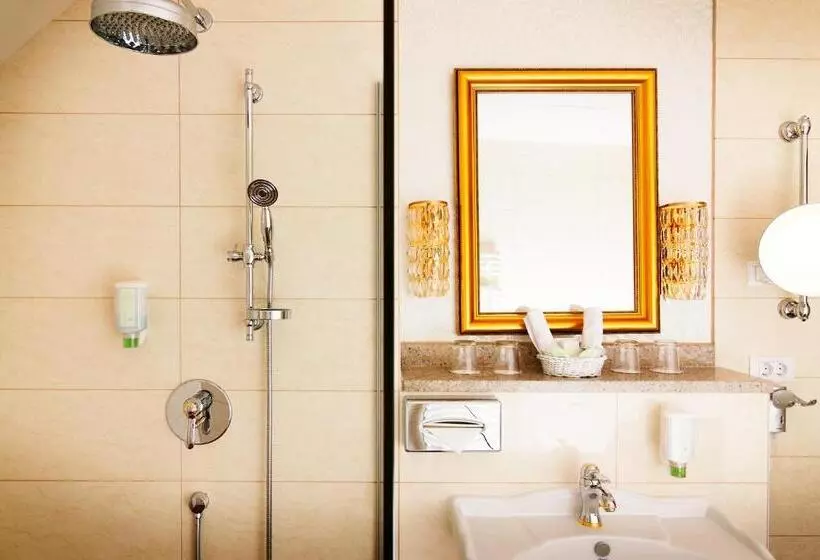اتاق اکونومی یک تخته, Parkhotel Graz Traditional Luxury