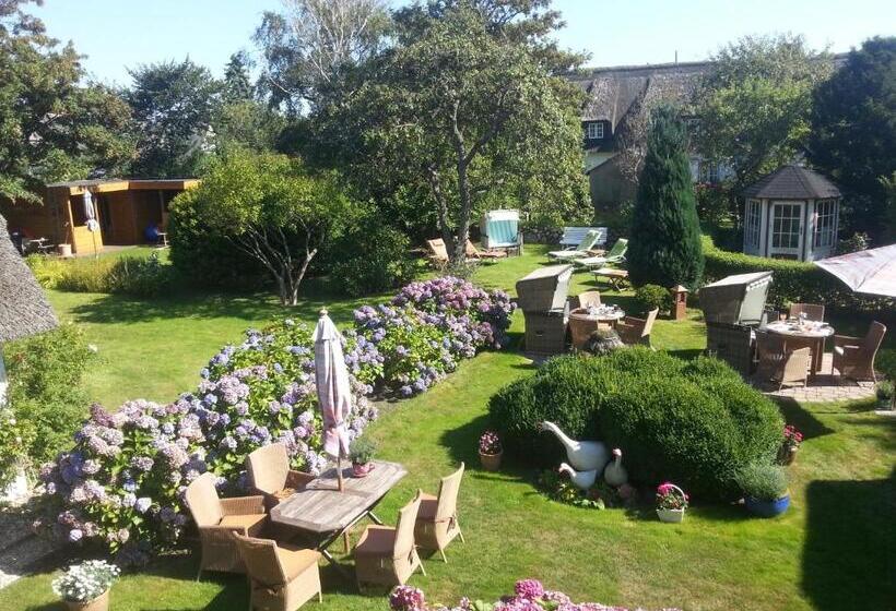 Полулюкс Одноместный с Террасой, Seiler Hof Keitum Garni