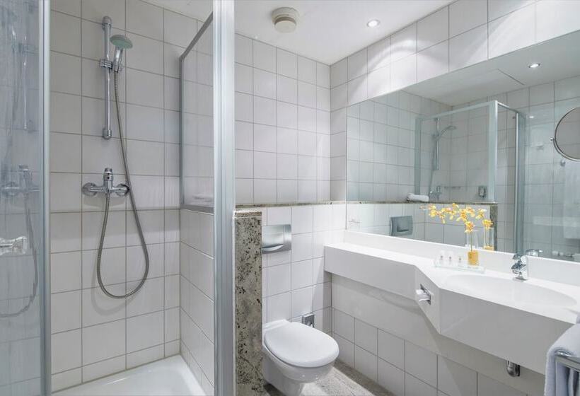 舒适型房间, Best Western Plus Hotel Excelsior