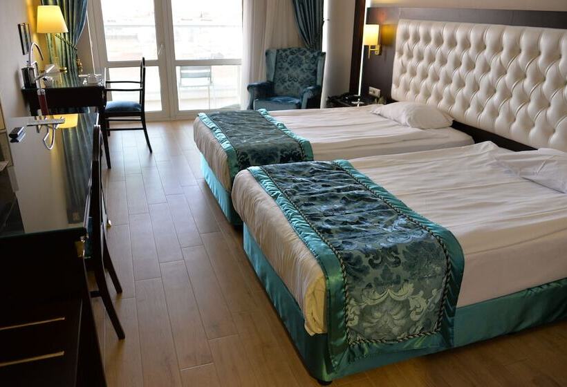 غرفة قياسية مطلة على المدينة, Ege Palas Business