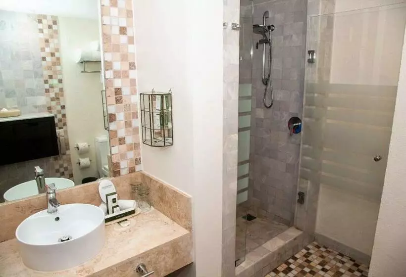 اتاق لوکس, Occidental Nuevo Vallarta