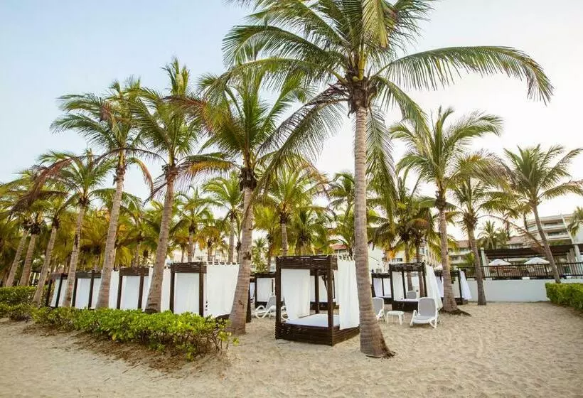اتاق لوکس, Occidental Nuevo Vallarta