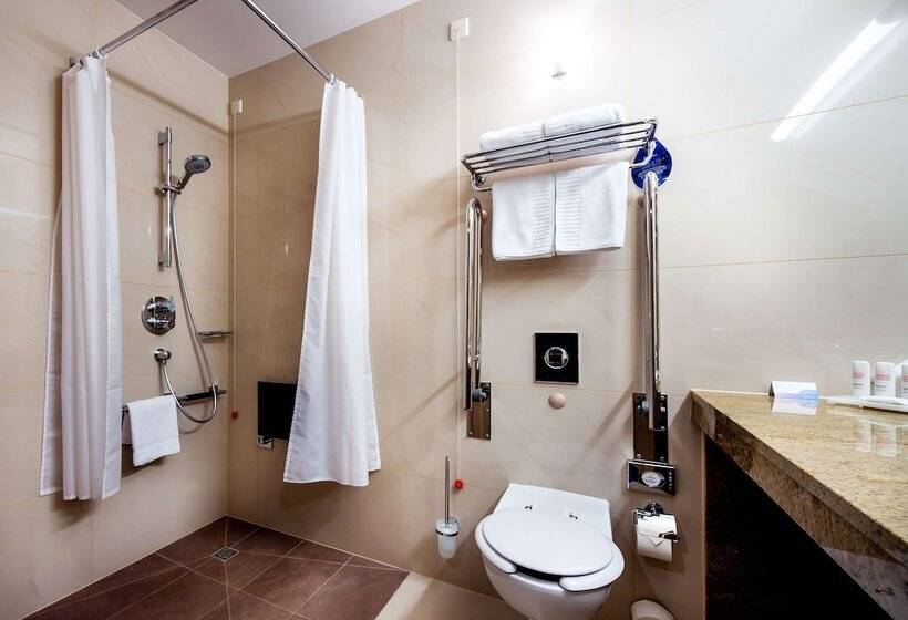 غرفة قياسية, Radisson Blu , Szczecin
