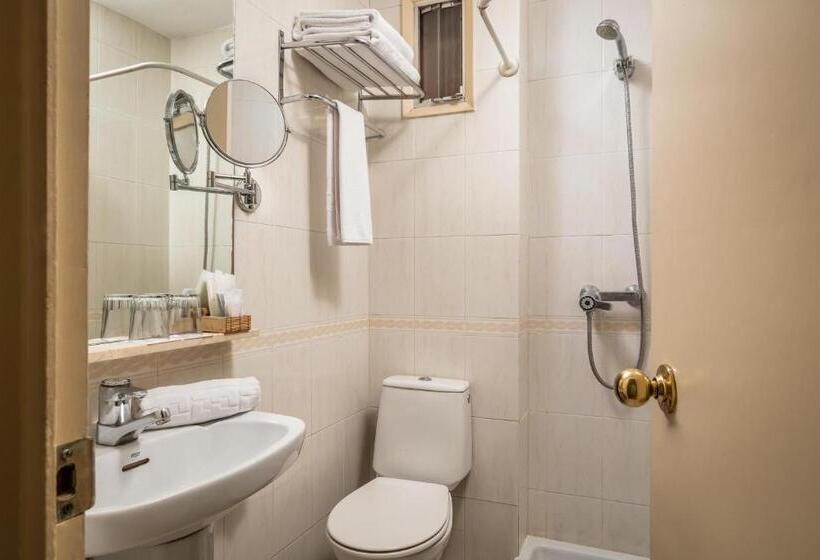 Camera Standard, Sant Jordi by Alegria