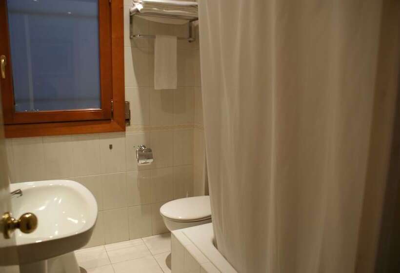 Camera Standard, Sant Jordi by Alegria