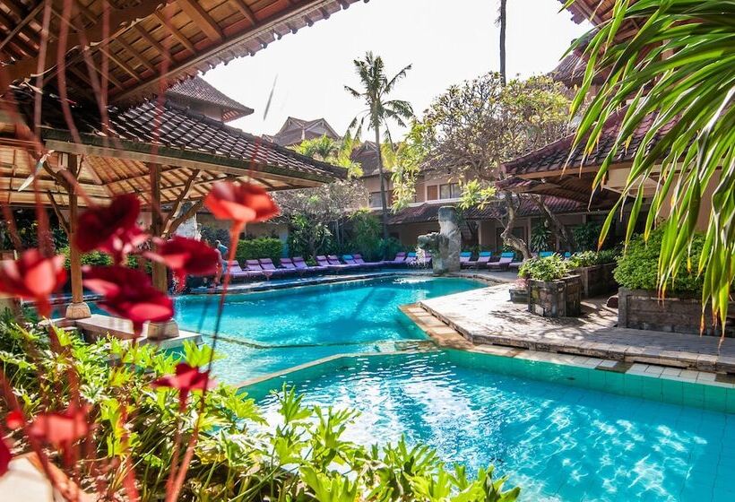 Номер Superior, Bounty