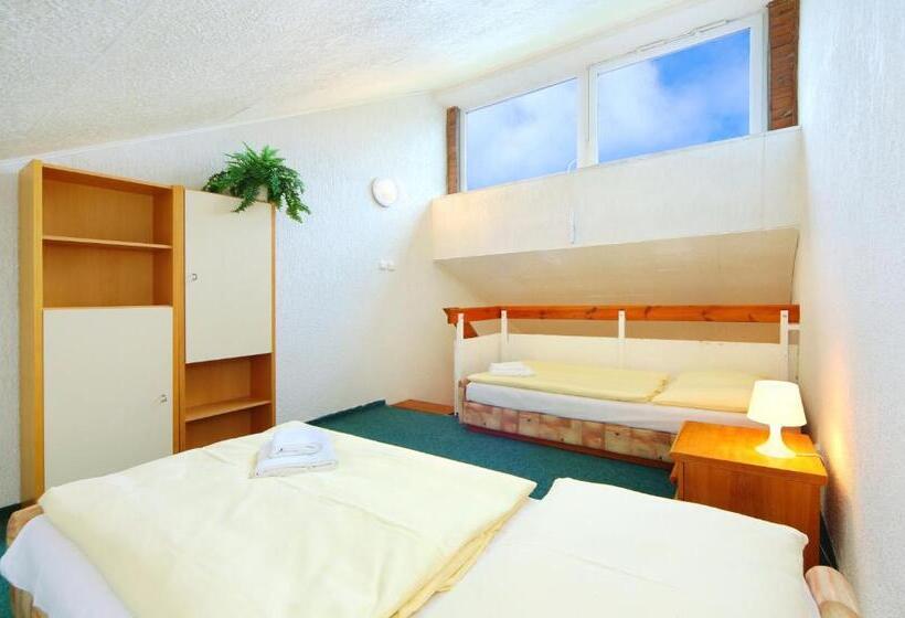 اتاق خانوادگی, Fit Fun