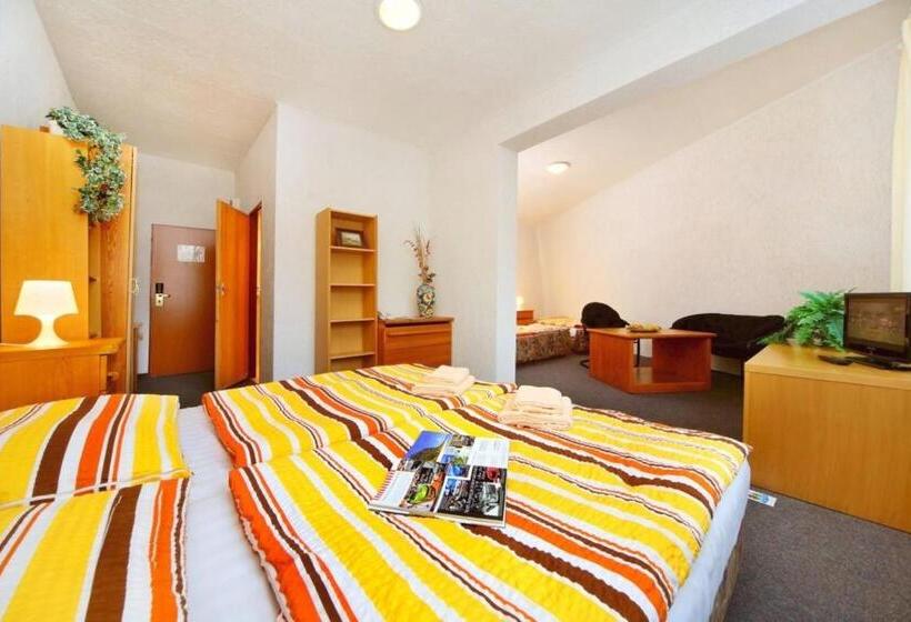 اتاق خانوادگی, Fit Fun