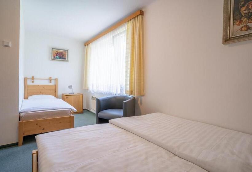 اتاق استاندارد سه نفره, Depandance Hotelu Kamzík