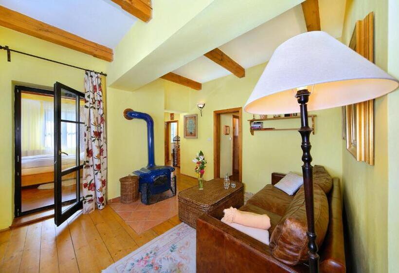 带1个卧室的豪华公寓, Praha