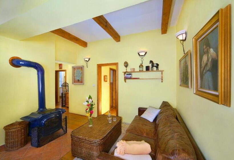 带1个卧室的豪华公寓, Praha