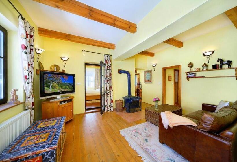 带1个卧室的豪华公寓, Praha